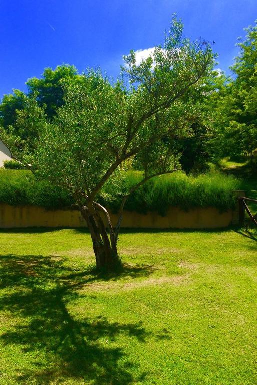 Agriturismo Acero Rosso Civitella di Romagna Exteriér fotografie